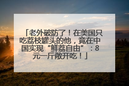 老外破防了！在美国只吃荔枝罐头的他，竟在中国实现“鲜荔自由”：8元一斤敞开吃！