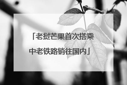老挝芒果首次搭乘中老铁路销往国内