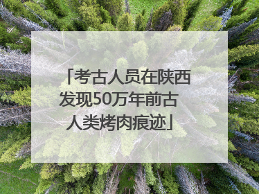 考古人员在陕西发现50万年前古人类烤肉痕迹