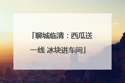 聊城临清：西瓜送一线 冰块进车间