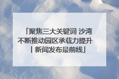 聚焦三大关键词 沙湾不断推动园区承载力提升丨新闻发布最前线