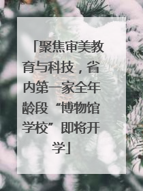 聚焦审美教育与科技，省内第一家全年龄段“博物馆学校”即将开学