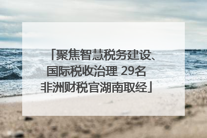 聚焦智慧税务建设、国际税收治理 29名非洲财税官湖南取经