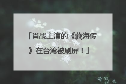 肖战主演的《藏海传》在台湾被刷屏！