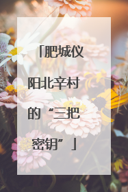 肥城仪阳北辛村的“三把密钥”