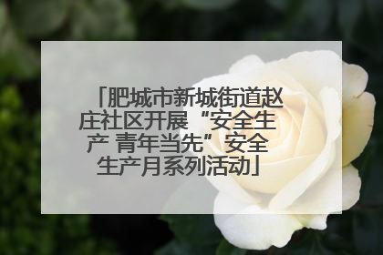 肥城市新城街道赵庄社区开展“安全生产 青年当先”安全生产月系列活动