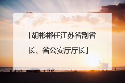 胡彬郴任江苏省副省长、省公安厅厅长
