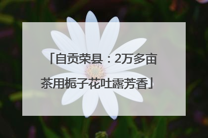 自贡荣县：2万多亩茶用栀子花吐露芳香