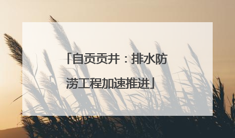 自贡贡井：排水防涝工程加速推进