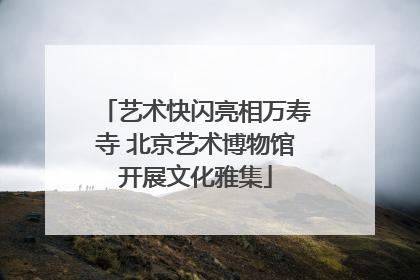 艺术快闪亮相万寿寺 北京艺术博物馆开展文化雅集
