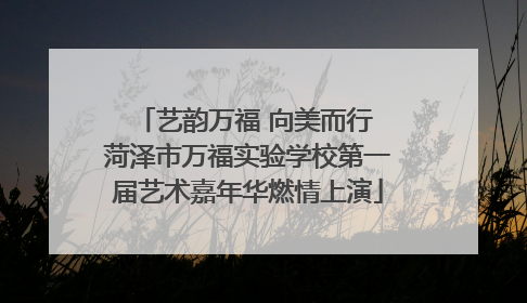 艺韵万福 向美而行 菏泽市万福实验学校第一届艺术嘉年华燃情上演