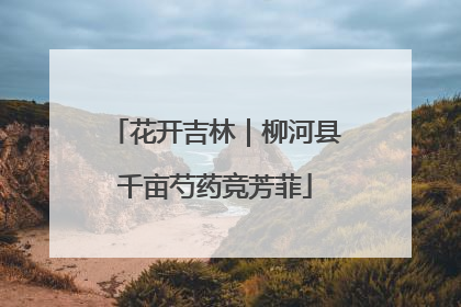 花开吉林｜柳河县千亩芍药竞芳菲