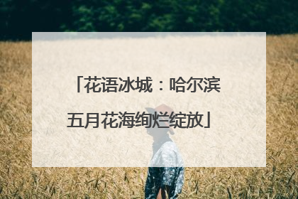 花语冰城：哈尔滨五月花海绚烂绽放