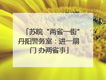 苏皖“两省一街”丹阳警务室：进一扇门 办两省事