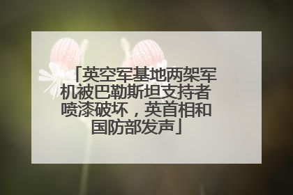 英空军基地两架军机被巴勒斯坦支持者喷漆破坏，英首相和国防部发声