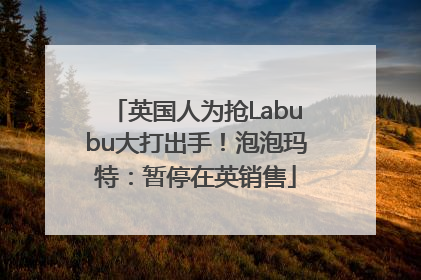 英国人为抢Labubu大打出手！泡泡玛特：暂停在英销售