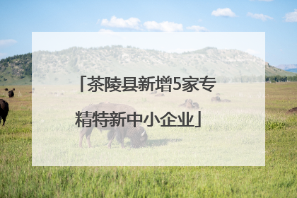 茶陵县新增5家专精特新中小企业