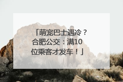 萌宠巴士遇冷？合肥公交：满10位乘客才发车！
