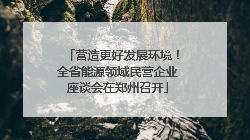 营造更好发展环境！全省能源领域民营企业座谈会在郑州召开