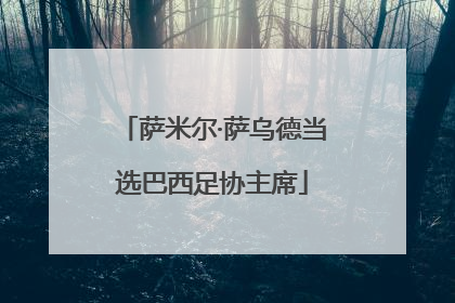 萨米尔·萨乌德当选巴西足协主席