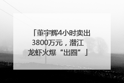 董宇辉4小时卖出3800万元，潜江龙虾火爆“出圈”