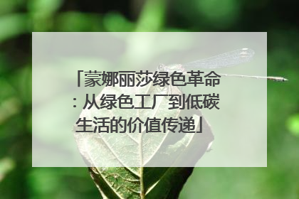 蒙娜丽莎绿色革命：从绿色工厂到低碳生活的价值传递