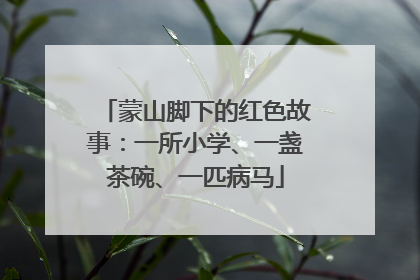 蒙山脚下的红色故事：一所小学、一盏茶碗、一匹病马
