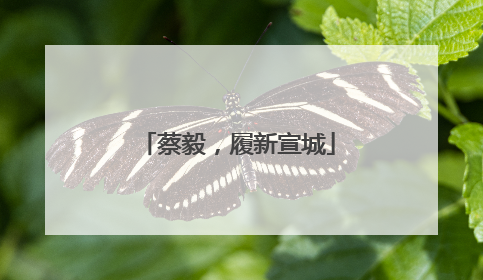 蔡毅，履新宣城