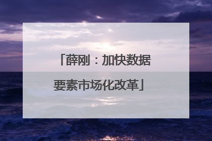 薛刚：加快数据要素市场化改革