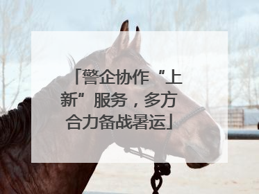 警企协作“上新”服务，多方合力备战暑运