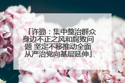 许勤：集中整治群众身边不正之风和腐败问题 坚定不移推动全面从严治党向基层延伸
