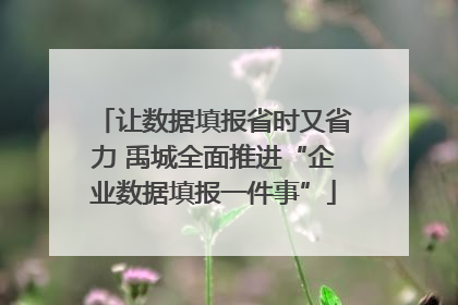 让数据填报省时又省力 禹城全面推进“企业数据填报一件事”