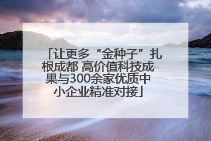 让更多“金种子”扎根成都 高价值科技成果与300余家优质中小企业精准对接