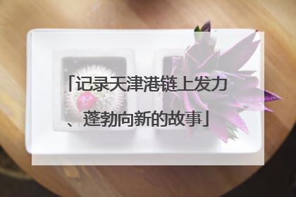记录天津港链上发力、蓬勃向新的故事
