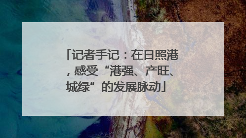 记者手记：在日照港，感受“港强、产旺、城绿”的发展脉动