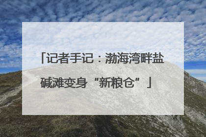 记者手记：渤海湾畔盐碱滩变身“新粮仓”