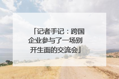 记者手记：跨国企业参与了一场别开生面的交流会
