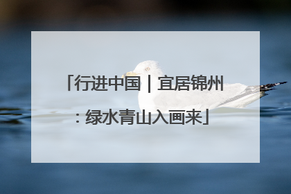 行进中国｜宜居锦州：绿水青山入画来