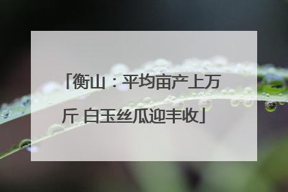 衡山：平均亩产上万斤 白玉丝瓜迎丰收