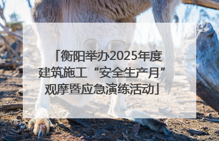 衡阳举办2025年度建筑施工“安全生产月”观摩暨应急演练活动
