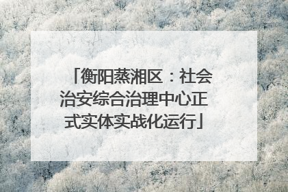 衡阳蒸湘区：社会治安综合治理中心正式实体实战化运行