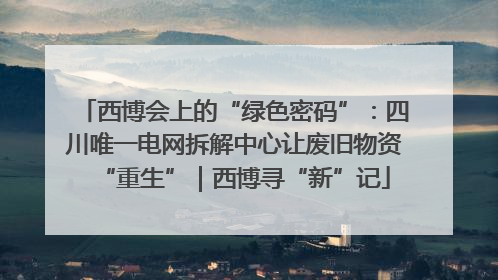 西博会上的“绿色密码”：四川唯一电网拆解中心让废旧物资“重生”｜西博寻“新”记