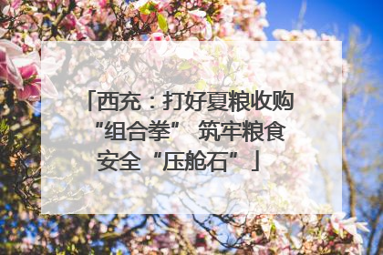 西充：打好夏粮收购“组合拳” 筑牢粮食安全“压舱石”