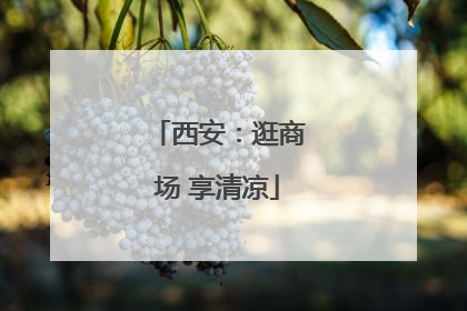 西安：逛商场 享清凉