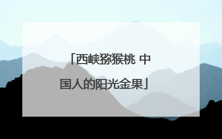 西峡猕猴桃 中国人的阳光金果