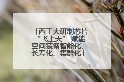 西工大研制芯片“飞上天” 赋能空间装备智能化、长寿化、集群化