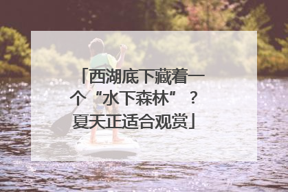 西湖底下藏着一个“水下森林”？夏天正适合观赏