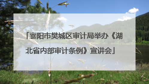 襄阳市樊城区审计局举办《湖北省内部审计条例》宣讲会