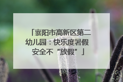 襄阳市高新区第二幼儿园：快乐度暑假 安全不“放假”