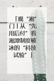 观“湘”门丨从“先用后付”看湘潭制度破冰的“科技试验”